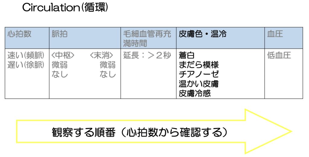 循環評価 皮膚色・温冷