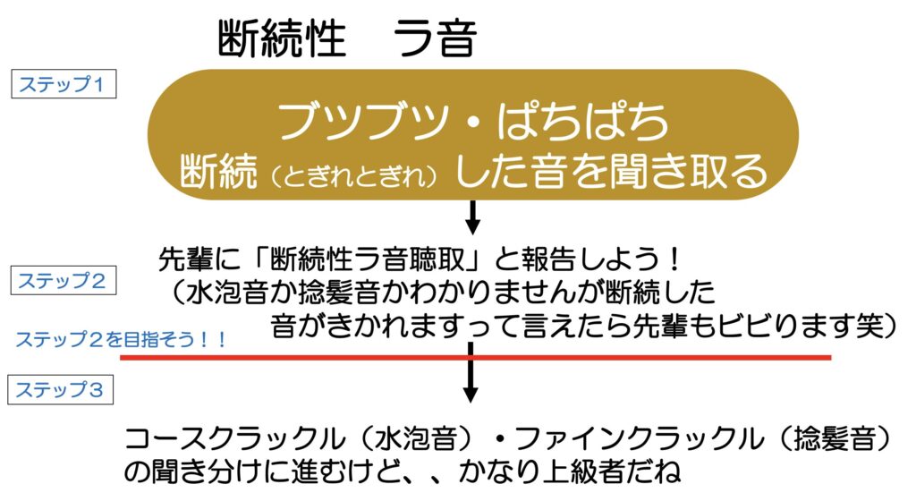 断続性ラ音の聞き分け図