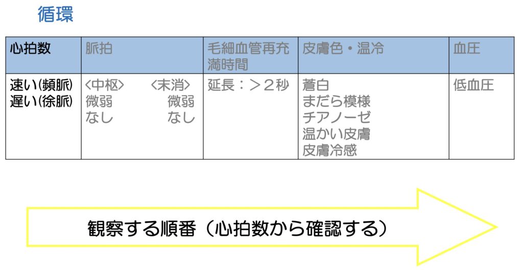 心拍数の測り方