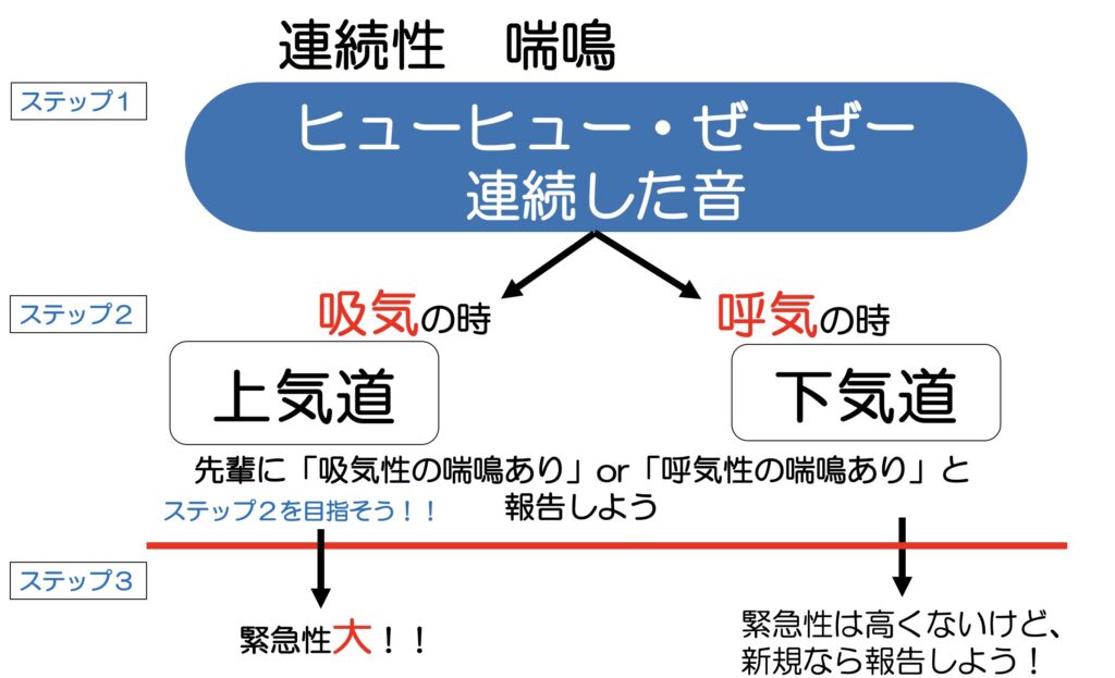 連続性のラ音、喘鳴の図
