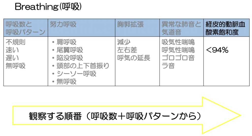 SpO2、経皮的動脈血酸素飽和度の呼吸観察の表