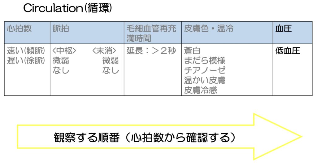 循環動態の観察項目