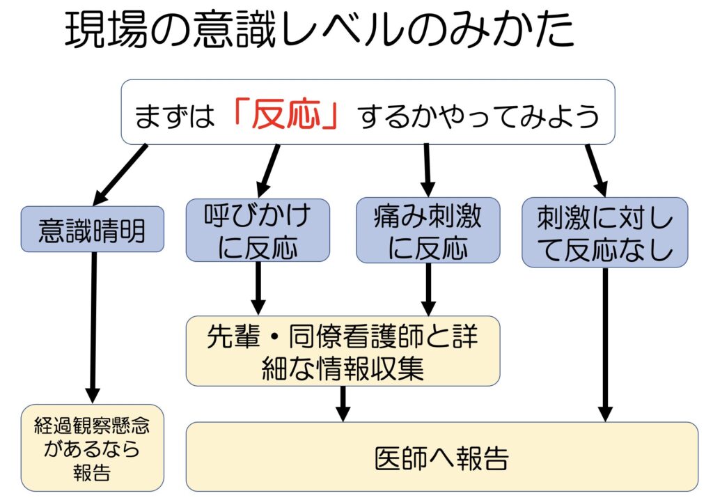 意識レベルの見方と対応