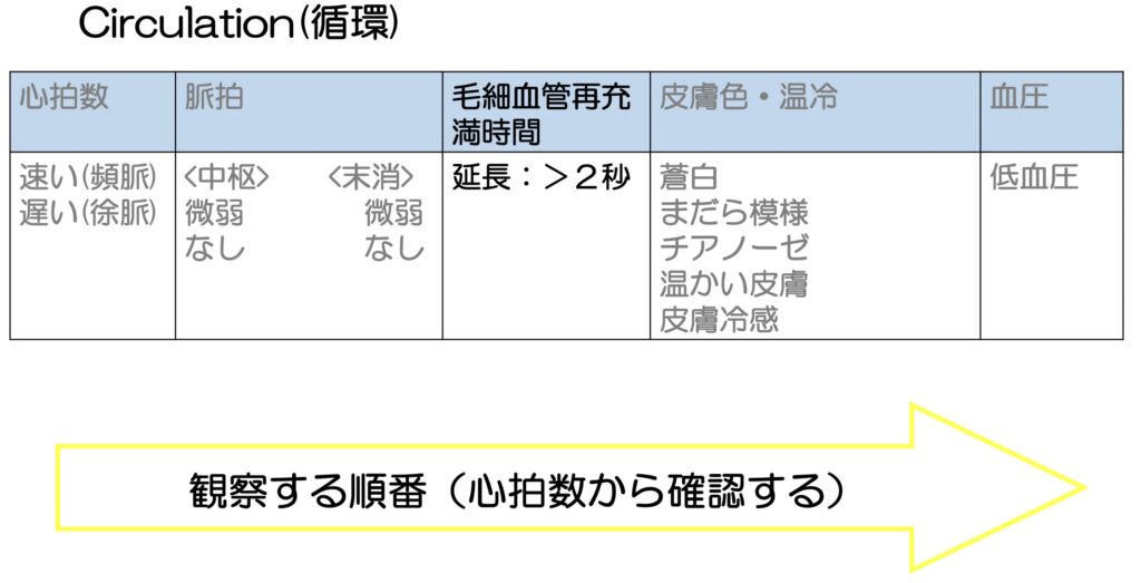 毛細血管再充満時間 CRT の表