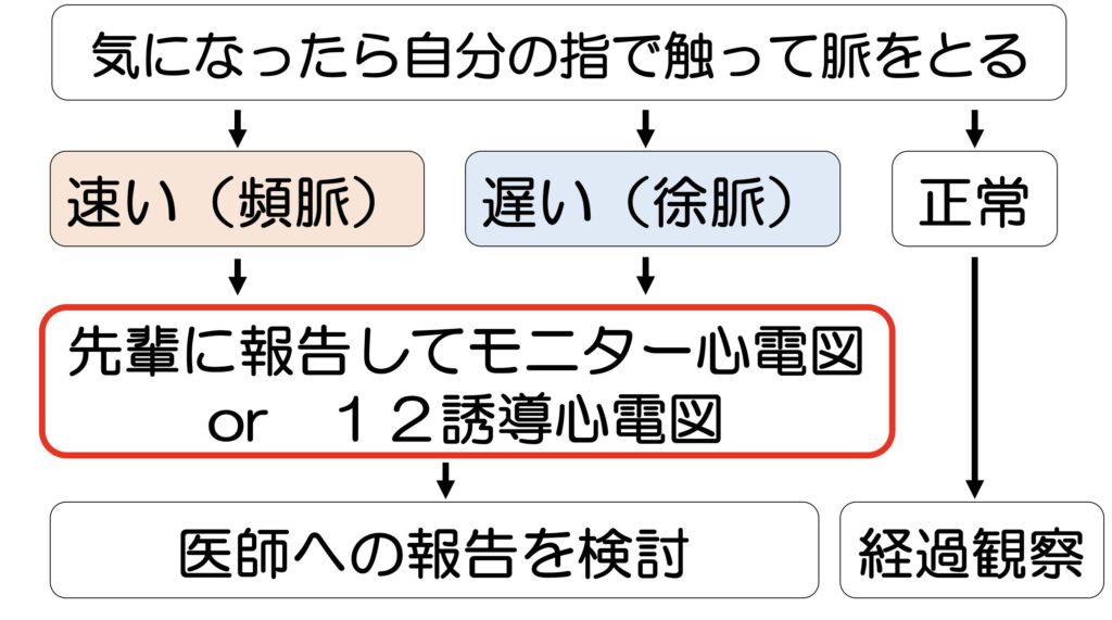 心拍数・脈拍の観察の仕方