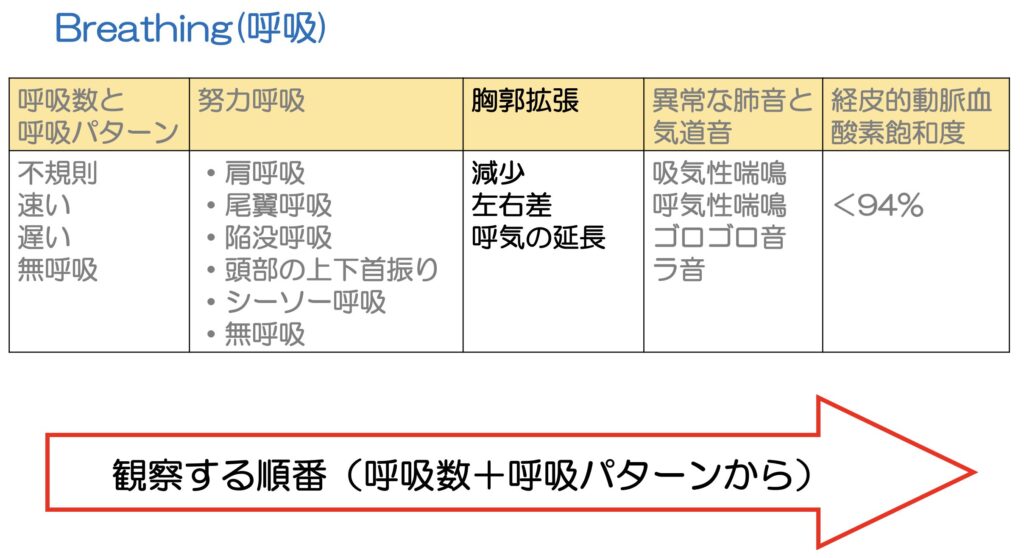 呼吸の観察項目