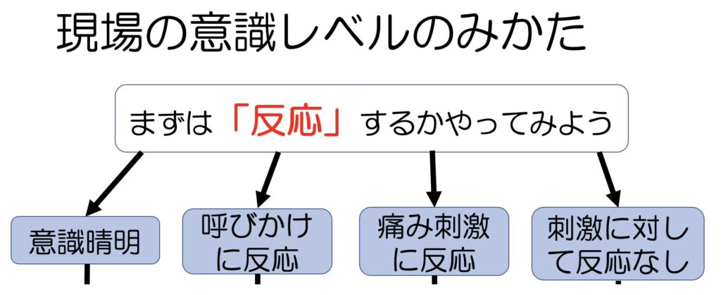 意識レベルの見方