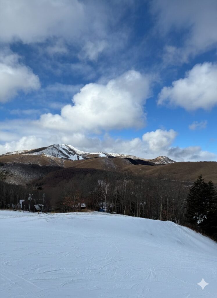 雪景色　ゲレンデ　スキー