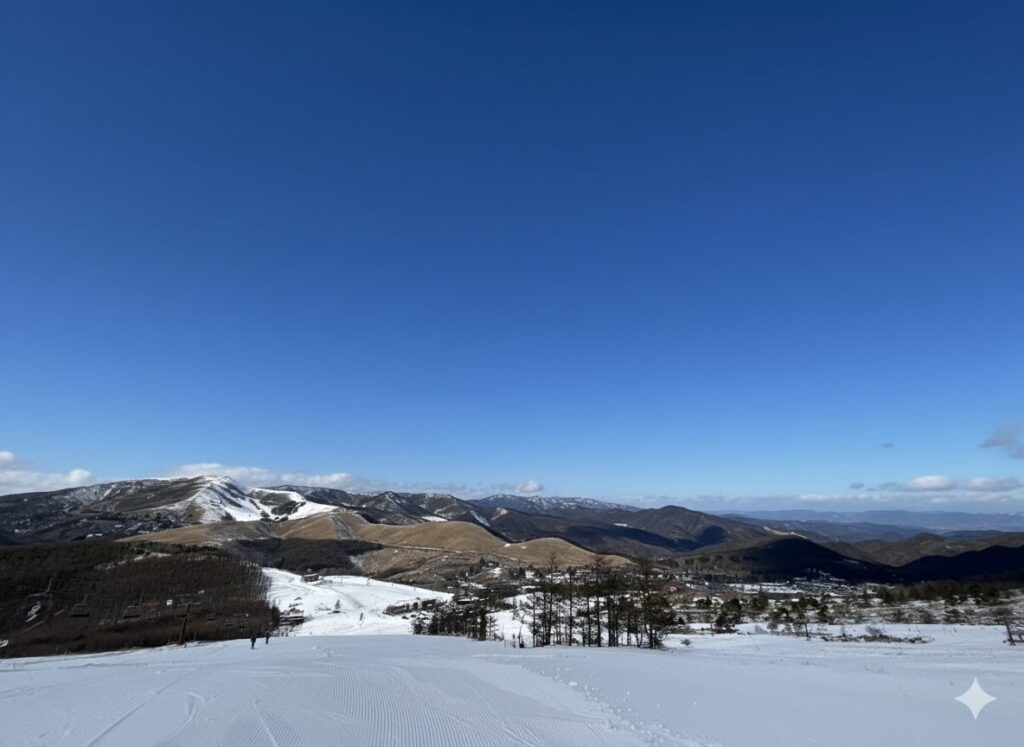 ゲレンデ　看護師　スノボ