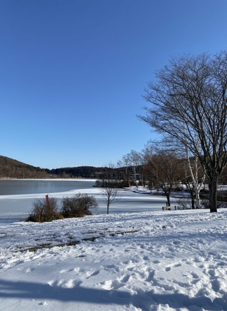 池と雪景色