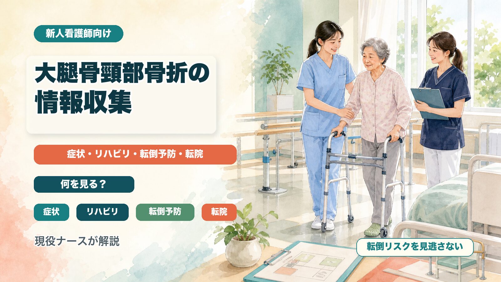 大腿骨頸部骨折の情報収集｜症状・リハビリ・転倒予防・転院で何を見る？現役ナースが解説