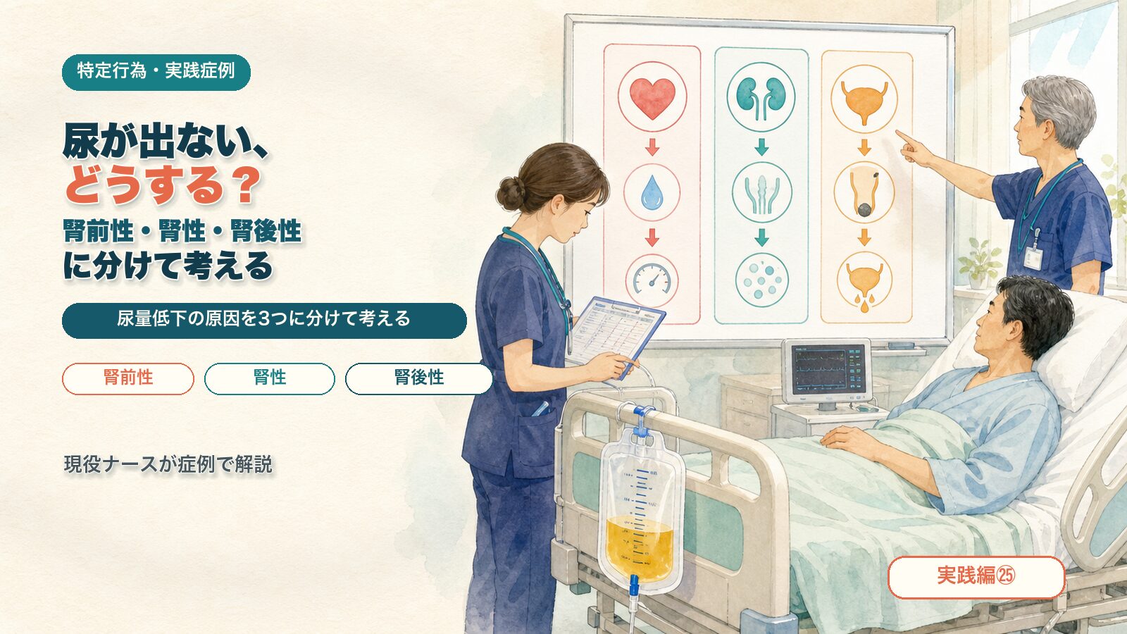 【実践編㉕】尿が出ない、どうする？｜腎前性・腎性・腎後性に分けて考える｜特定行為の実践症例を現役ナースが解説